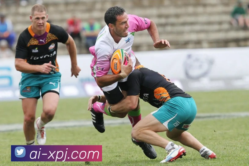 新葡京娱乐APP 封面图